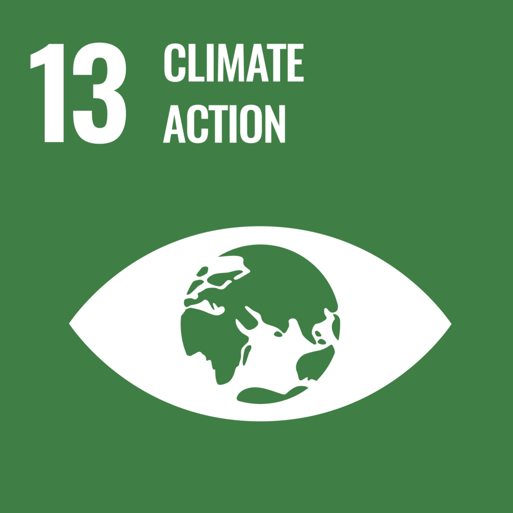 Grafik 13 UN SDGs Climate Action